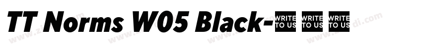 TT Norms W05 Black字体转换